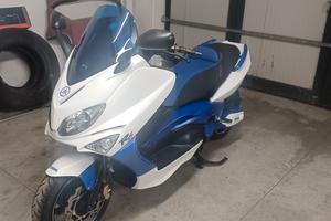 T MAX 2004