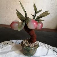 Bonsai melo: frutti, foglie e vaso di pietre dure.