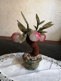 Bonsai melo: frutti, foglie e vaso di pietre dure.