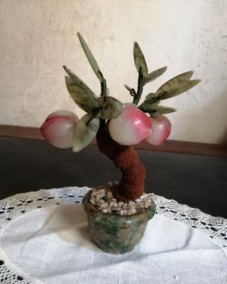 Bonsai melo: frutti, foglie e vaso di pietre dure.