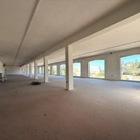 Capannone con Piazzale - Zona Strategica