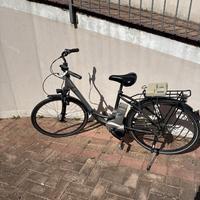 Bicicletta elettrica