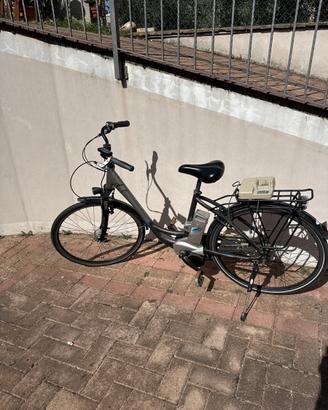 Bicicletta elettrica