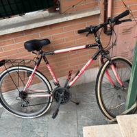 Mountain bike 26 cm diametro