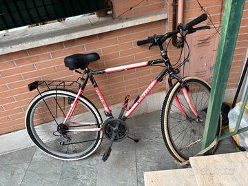 Mountain bike 26 cm diametro