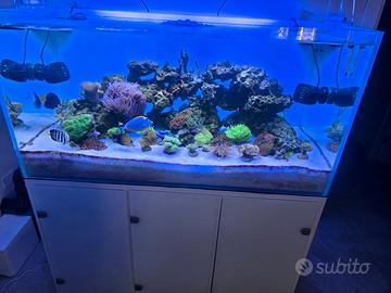 Acquario Marino Completo GENESI ACQUARI 120x60x60