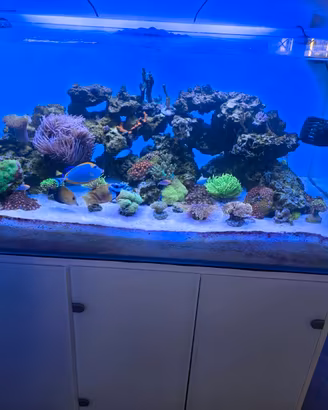 Acquario Marino Completo GENESI ACQUARI 120x60x60