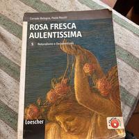 Rosa Fresca Aulentissima vol 5 di Bologna e Rocchi