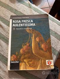 Rosa Fresca Aulentissima vol 5 di Bologna e Rocchi