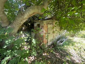 TER. AGRICOLO A GUBBIO