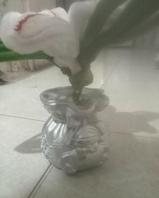 piante natalizie