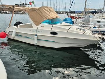 saver manta 620 mercury 115cv