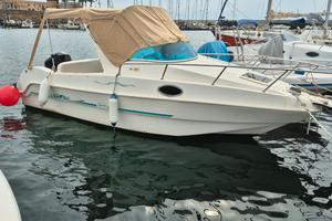 saver manta 620 mercury 115cv