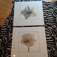 Set 2 quadri con diverse stampe incluse