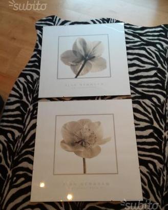 Set 2 quadri con diverse stampe incluse