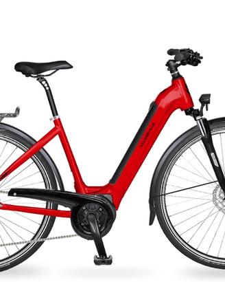 Bici elettrica da cicloturismo / Touring e-bike