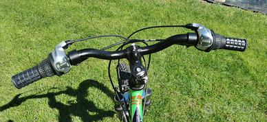 Bicicletta bambino ruote 20 pollici