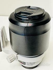 Canon EF 70-300mm f/4-5.6 L IS USM