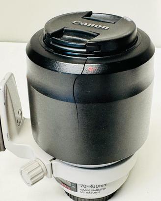 Canon EF 70-300mm f/4-5.6 L IS USM