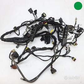 Impianto elettrico MV AGUSTA F4 1000 R