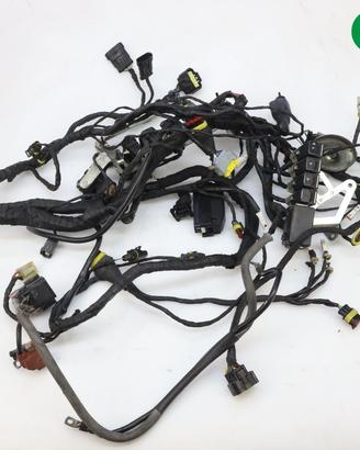 Impianto elettrico MV AGUSTA F4 1000 R