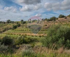 Terreno - Caltagirone