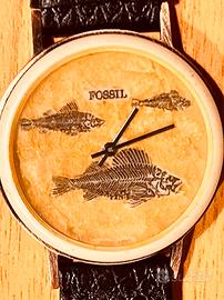 Orologio quarzo Fossil Stone BW 5713