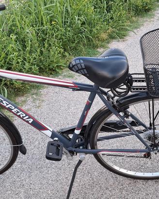 Bicicletta Esperia