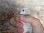 Immagine 5
