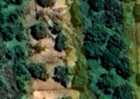 Terreno uliveto a Sant' Maria di Licodia