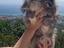 Immagine 1