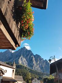 Vacanze estive a Cima Sappada