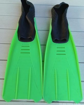 Pinne sub Mares
