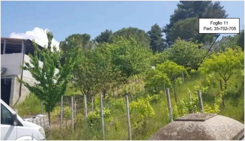 Immobile in asta di 7308 m² a Montefalco - Vista 2