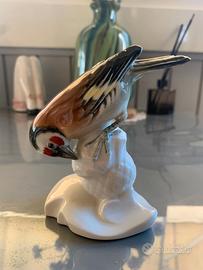 VOLKSTEDT-RUDOLSTADT - Cardellino