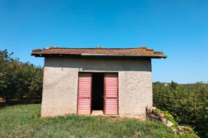 Noccioleto con casale