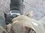 Immagine 3