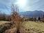 Immagine 28