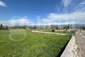 Terreno Residenziale Alvignano