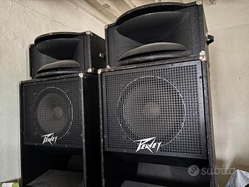 Casse Audio Peavy passive