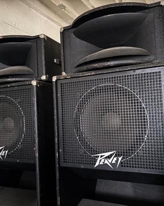 Casse Audio Peavy passive