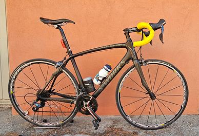 Bici Specialized in carbonio