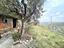 Immagine 18