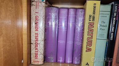 Libri Shakespeariani - Serie Viola Kennikat Press