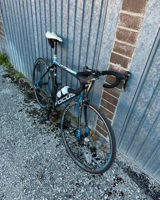Bici da corsa focus Cayo