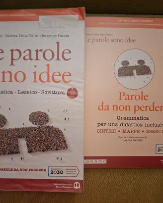 le parole sono idee