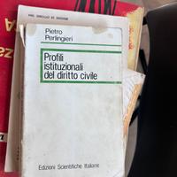 Profili istituzionali del diritto civile