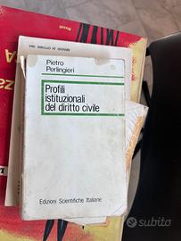 Profili istituzionali del diritto civile