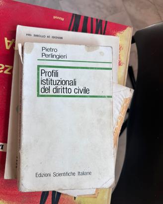 Profili istituzionali del diritto civile