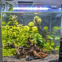 Acuario Blau Cubi Panoramic 32L